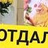 21 10 САМВЕЛ АДАМЯН ЗИНА НЕ ОТПУСКАЕТ НАДЬКА УЕХАЛА И СЕВКА С КОНЦАМИ КОЛЯ СТРАДАЕТ