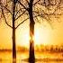 BLP Brian Lucas Project Setting Sun Touch Heart GR