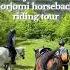 Borjomi Horseback Riding