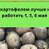 Урожаю позавидуют все соседи Идеальные дни для посадки картофеля в апреле и мае Shorts