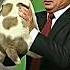 Great Leaders Always Love Animals Respect Putin Modi Sigma