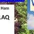 SDRplay Comparison Of LZ1AQ And Wellbrook Loop Antennas