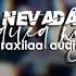 Nevada Edit Audio