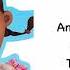 Doc Mcstuffins Theme Song Lyrics