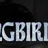 Moojo Mockingbird