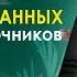 ЭТИ 6 СПОСОБОВ Могут Сделать Вас Богатым Усман аль Хамис