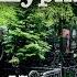 Л Улицкая Искренне ваш Шурик Главы 54 57 читает А Назаров