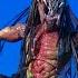 Feral Predator Vs Razor Claw Alien Chrysails Alien Arachnoid Alien Scorpion Alien An Epic Battle