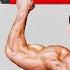 Build A STRONG Muscular Back With Pull Ups TOP SECRET METHOD