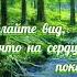 Мой вам совет при любых обстоятельствах делайте вид что на сердце покой Стихи