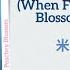 芳菲落尽梨花白 When Fragrance Falls Pear Blossoms Turn White 米靓 Mi Liang 墨雨云间 The Double Chi Eng Pin