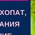 НАРЦИСС ПСИХОПАТ ЗАХВАТ ВНИМАНИЯ И ПОГРУЖЕНИЕ В ИЛЛЮЗИЮ Екатерина Эрлих