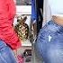 DEFLEE A VIBE ZAFUL Try On Haul PorchiaNicole