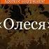 Краткое содержание Олеся