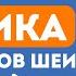 Критика УЗИ сосудов шеи Доктор Шишонин наносит ответный удар