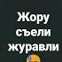 Жору съели журавли рекомендации рек Жора