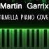 Martin Garrix Animals Piano Cover By Pianella Piano