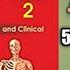 Abdomen Anatomy Complete Guidelines Abdomen Anatomy Of Abdomen