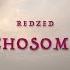 REDZED PSYCHOSOMATIC Lyrics
