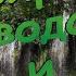 Природа шум водопада и пение птиц релакс видео для сна
