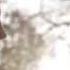 Stefan And Caroline Kiss 6x14 Stay