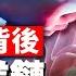 中共高官器官特供基地 胡鑫宇案為何全民關注 致遠中學背后的器官產業鏈有多深 大紀元2006年率先揭開中共活摘器官黑幕 郭君披露內情 菁英論壇 新唐人電視台 2 4 2023