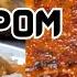 Lekkerste Surinaamse Pom Recept Easy Surinamese Pom Dish CWF