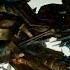 Transformers 2 Revenge Of The Fallen 2009 Optimus Prime Vs Fallen Scene 1080p FULL HD