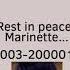 Rip Marinette 2003 2000015