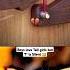 DAY 3 OHIO DOOR LOCK Funny Cat Memes