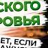 Самые вредные продукты для здоровья женщины Негативное влияние на организм продуктов питания