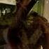 Bedouin Flight Of Birds Alt N Beats Guitar Re Touch