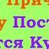 10 Причин Почему Постоянно Хочется Кушать