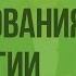 Методы исследования в биологии Видеоурок по биологии 5 класс