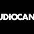 StudioCanal 2011 Logo Variant 2 Guitar