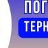 Тернопільська погода на 7 листопада 2024 року