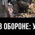 Ключевое место в обороне удержат ли ВСУ Покровск Юрий Кнутов