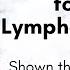 Dry Brushing For Lymphatic Drainage Shown The Best Way By A Lymphedema Physical Therapist