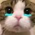 If We Ever Meet Again Sped Up
