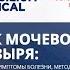 Рак мочевого пузыря Первые симптомы болезни методы диагностики и лечение