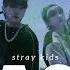 8D STRAY KIDS EASY WEAR HEADPHONES