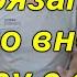 Два удобрения которые обязательно вносим осенью в почву