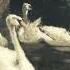 You Are Trapped In The Swan Lake A Classical Playlist