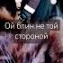 Ах тыж вечно голодный кот Essence Sunrisephoto Sunrisedrive Dancestyle Spiderman Sunrise мем
