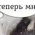 Ли Сяо Alice The Fox Лиса Алиса Макс во всем виноват