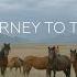 Путешествие в Туву Journey To Tuva INTUVA