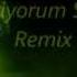 Seviyorum Seni Remix