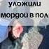 ЧЕЧЕНЦЕВ УЛОЖИЛИ МОРДОЙ В ПОЛ Shorts задержание дпс гаи