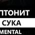 Скриптонит Твоя сука Feat PHARAOH минус Instrumental Remake