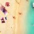 Metroplane Alex Metric Aeroplane Be Where I Am Edit